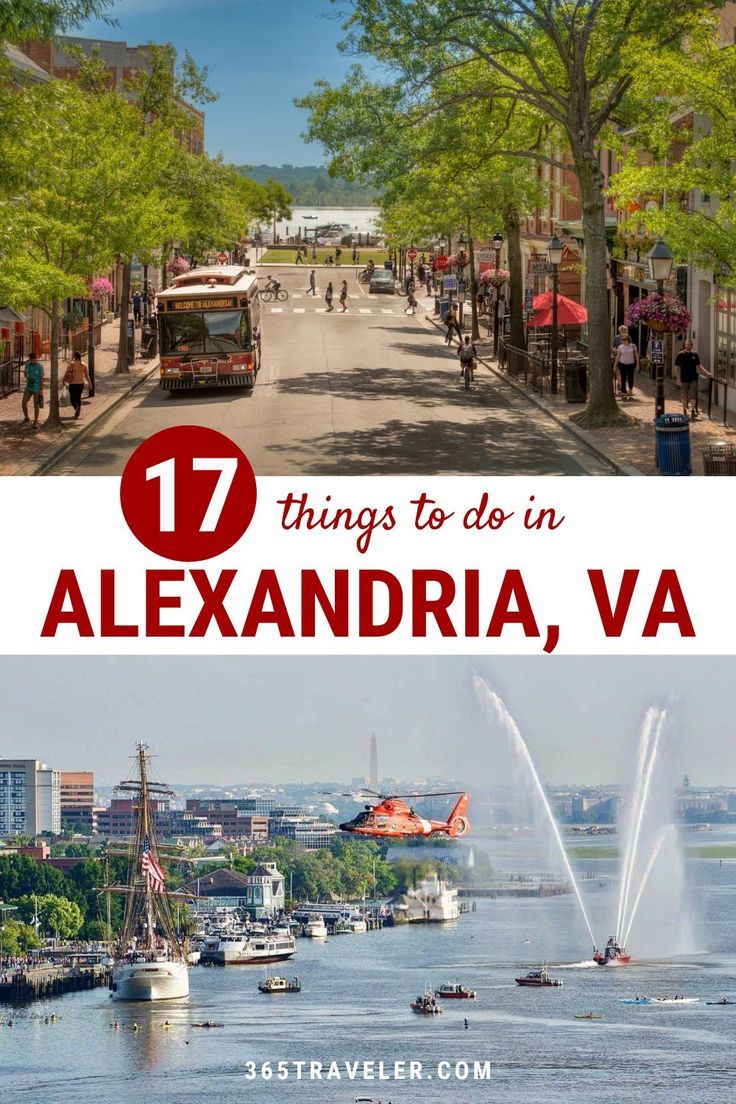 the water and trees in alexandria, va with text overlay that reads 17 things to do in alexandria, va