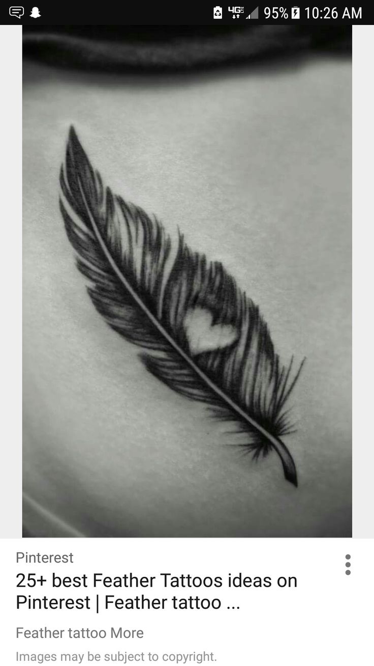 a black and white photo of a feather tattoo on someone's stomach, with the caption best 25 feather tattoos ideas on pinter drawing