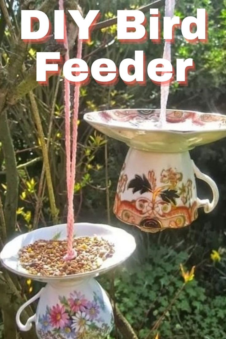 two bird feeders hanging from trees with the words diy bird feeder on them