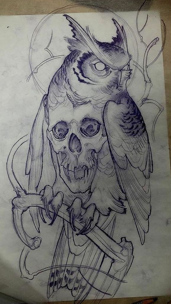 a drawing of an owl with a skull on it