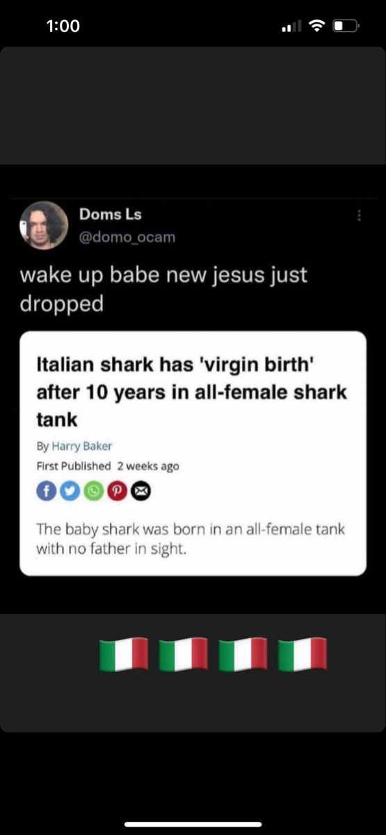 an iphone screen with the message wake up babe new jesus just dropped italian shark has virgin birth after 10 years in all - female shark tank