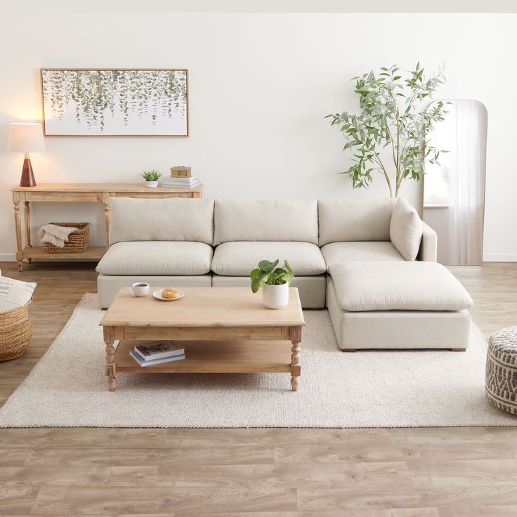 a living room with a couch, coffee table and plant on the floor in front of it