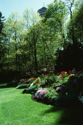 a lush green park with lots of flowers and trees