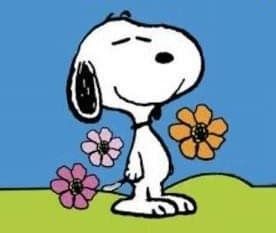 a cartoon snoopy holding a flower with the caption, you're my best friend