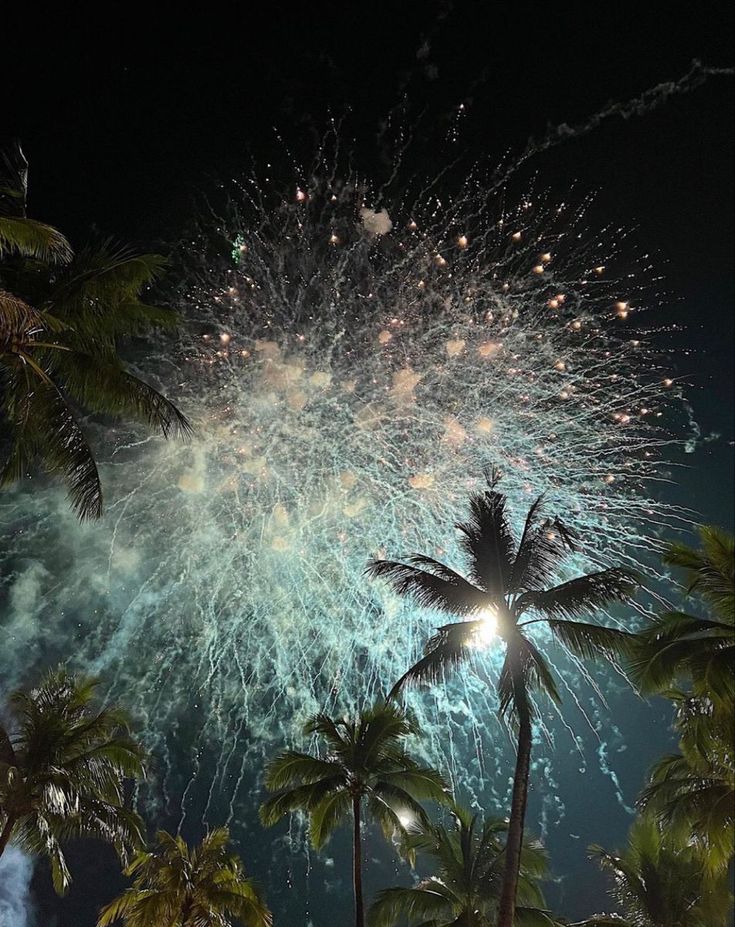 fireworks and palm trees are lit up in the night sky