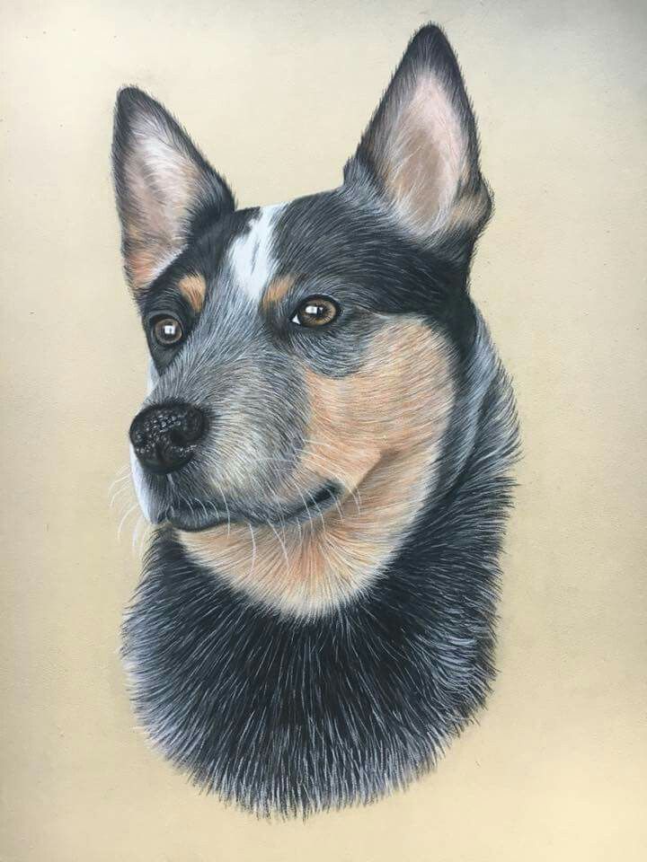 a drawing of a dog's head is shown in pastel and pencils