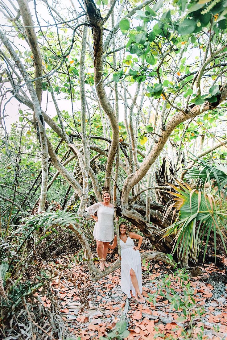 two people standing in the middle of a forest with trees and leaves on the ground