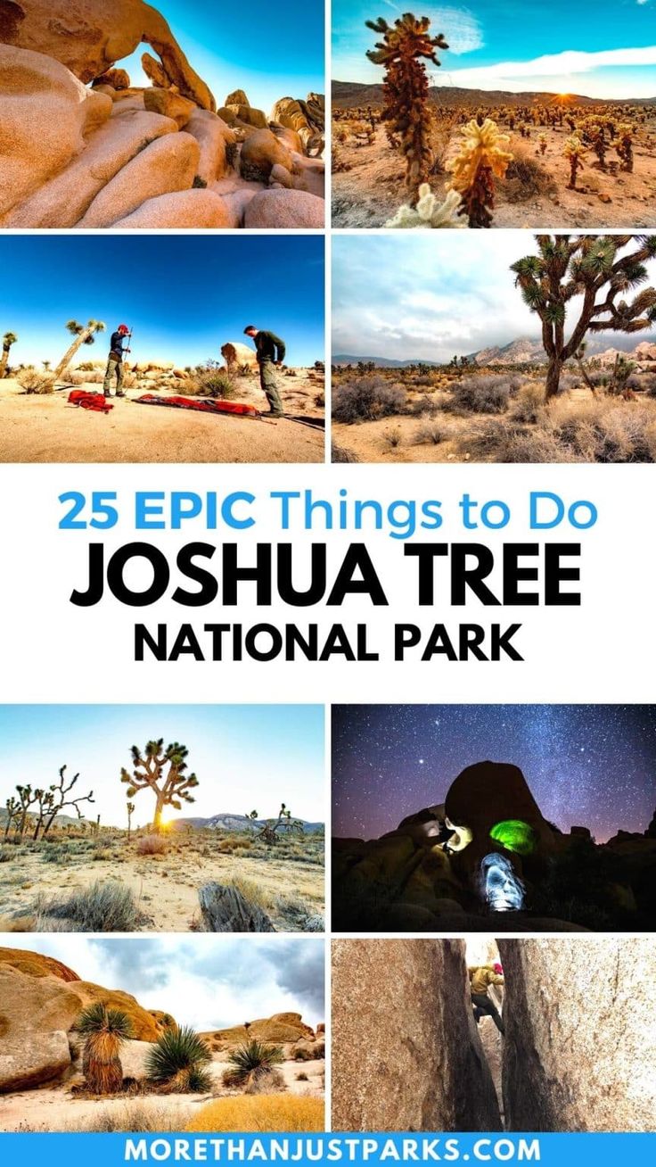 joshua tree national park with the title 25 epic things to do