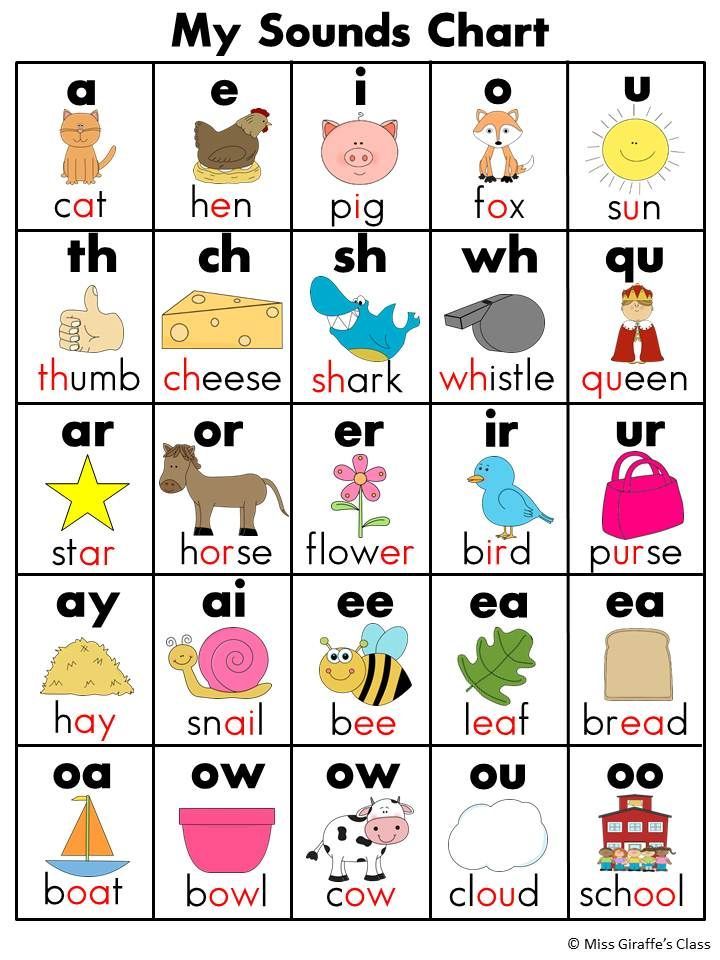 a printable worksheet with words and pictures to help kids learn how to spell