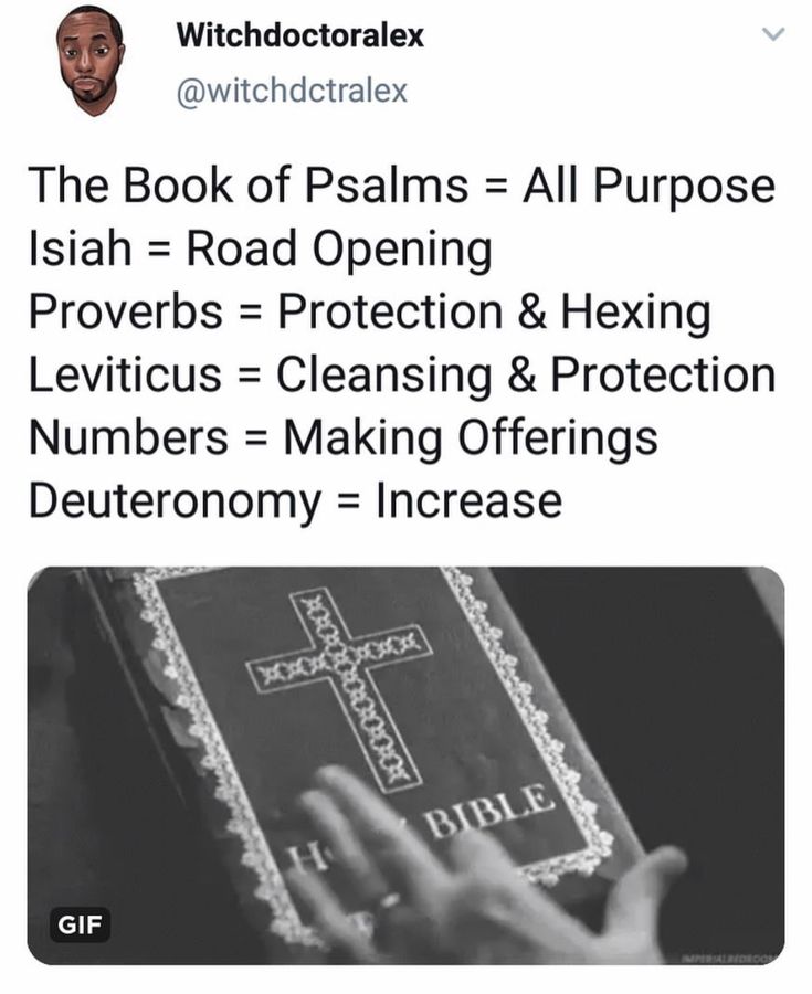 a person holding a book in their hand with the words, the book of palms = all purpose