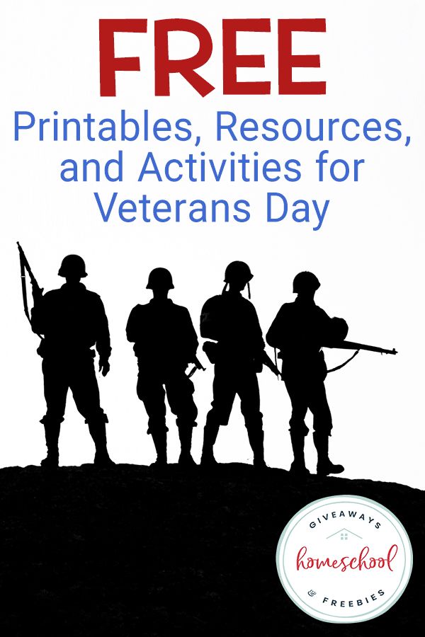 the book is titled free printables, resources, and activities for veterans day