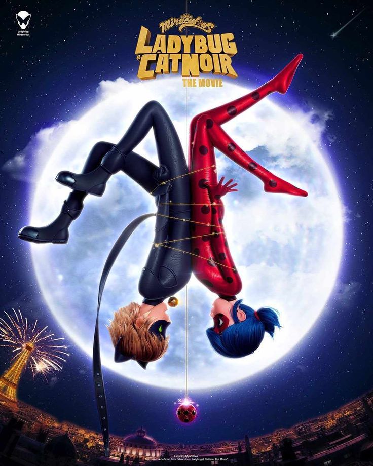 the poster for ladybug and the catwoman from the movie, which is being released