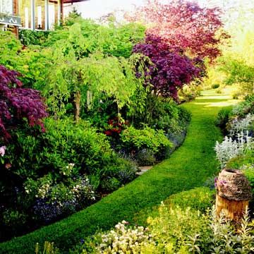 a lush green garden with lots of flowers and trees