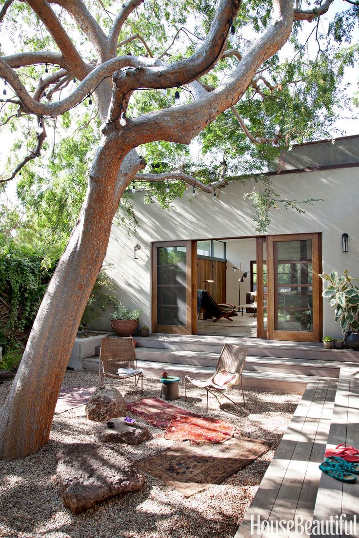 a house with a large tree in front of it and some chairs on the patio