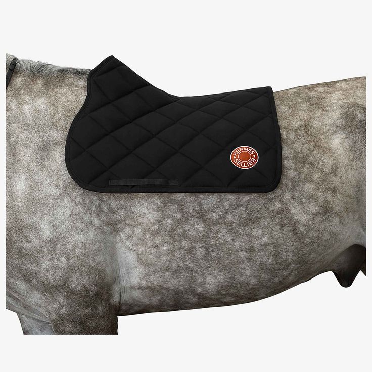 a close up of a horse wearing a saddle pad