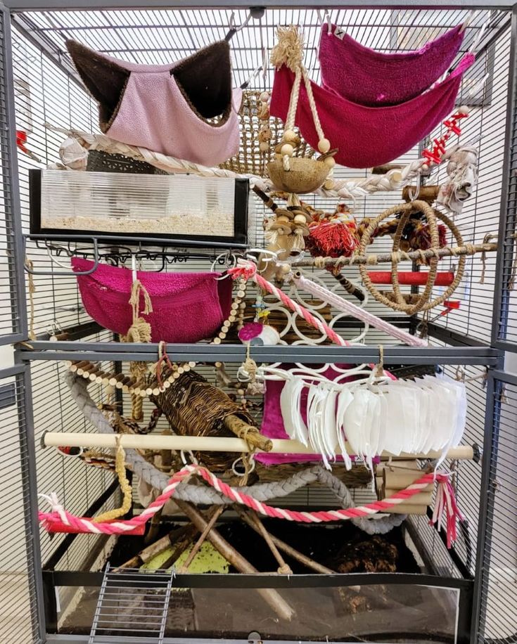 a bird cage filled with lots of different items