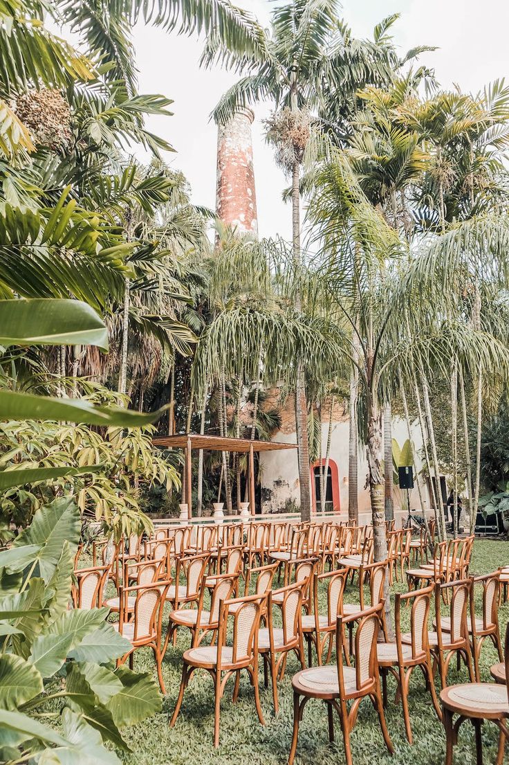 rows of wooden chairs are lined up in the grass near palm trees and a tower