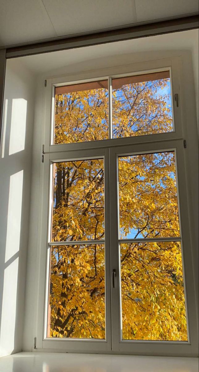 an open window with yellow leaves on the outside and blue sky in the back ground