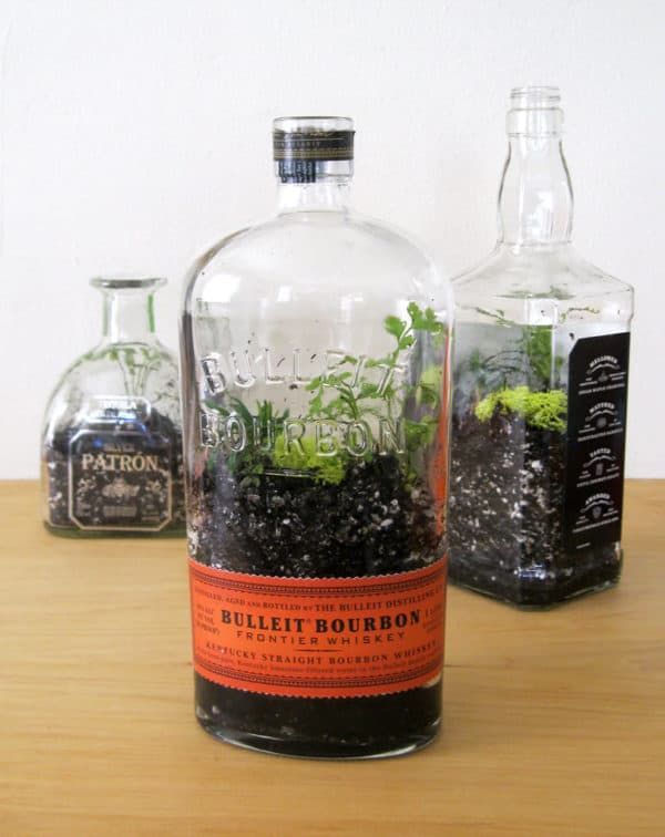 three bottles with plants in them on top of a wooden table next to each other