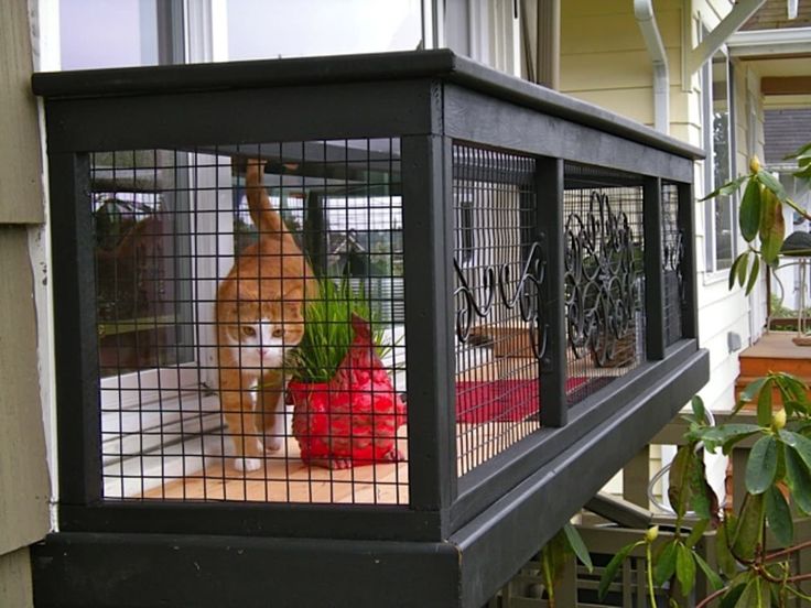 a caged porch with fruit and vegetables in it on the outside of a house