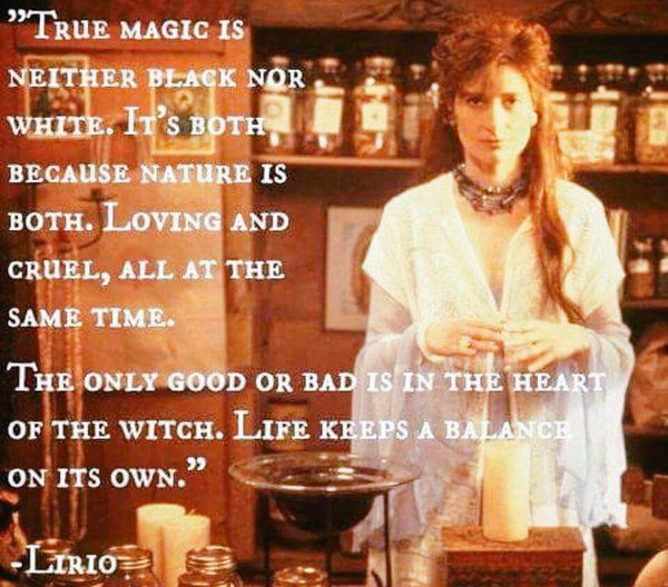 Pagan Quotes, The Craft Movie, Witch Quotes, Eclectic Witch, Wicca Witchcraft, Witch Magic, Practical Magic, Witchy Woman, Spiritual Path