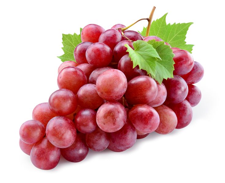 Grape Seed Extract is one of our 9 clinically studied ingredients. Grape seeds are rich in antioxidants, including phenolic acids, anthocyanins, flavonoids, and oligomeric proanthocyanidin complexes. Studies show that grape seed extract supports numerous cardiovascular benefits and can aid in wound healing.*  • Supports healthy circulation* • Helps maintain healthy cholesterol* • Protects blood vessels* • Powerful antioxidant helps safeguard cells*  Learn more at www.regenafin.com/ingredients King Food, Giant Food, Growing Grapes, Food Basket, Grape Seed Extract, Grape Bunch, Purple Grapes, Red Grapes, Food Market