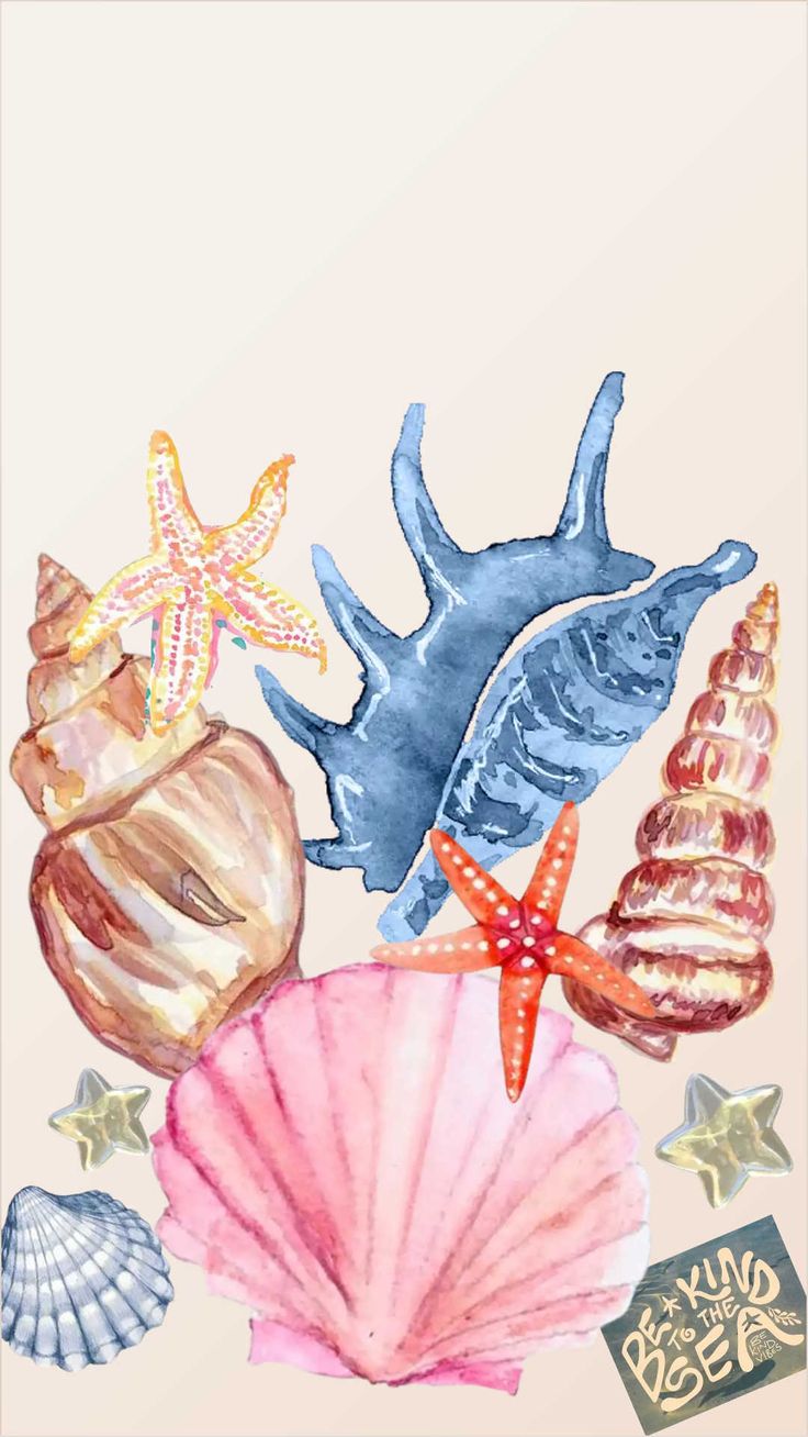 watercolor painting of seashells and starfish