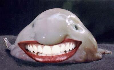 a smiling white shark with red lips and teeth on it's back end is laying down