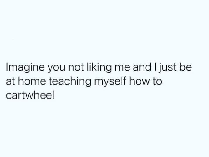 the words imagine you not liking me and i just be at home teaching myself how to cartwheel