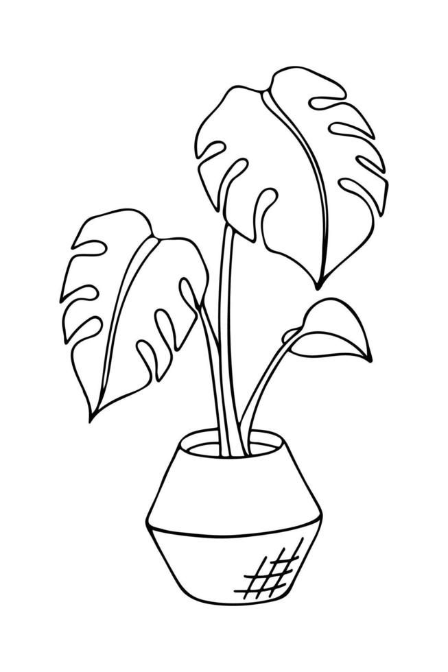 Doodle of monstera deliciosa in pot. Hand drawn vector illustration of indoor plant isolated on white background. Pothos Leaf Drawing, Simple Potted Plant Drawing, Monstera Drawn Simple, Monstera Plant Drawing Simple, Monstera Drawn, Potted Plant Doodles, Monstera Plant Sketch, Monstera Deliciosa Drawing, Monstera Doodle