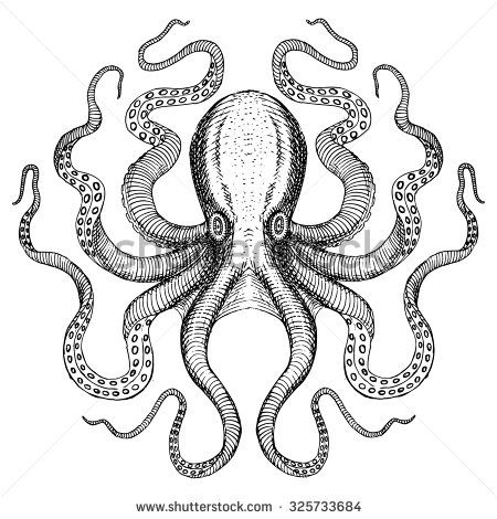 an octopus is drawn in ink on paper, and the image has been altered to look like