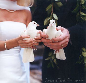 a bride and groom holding white doves in their hands