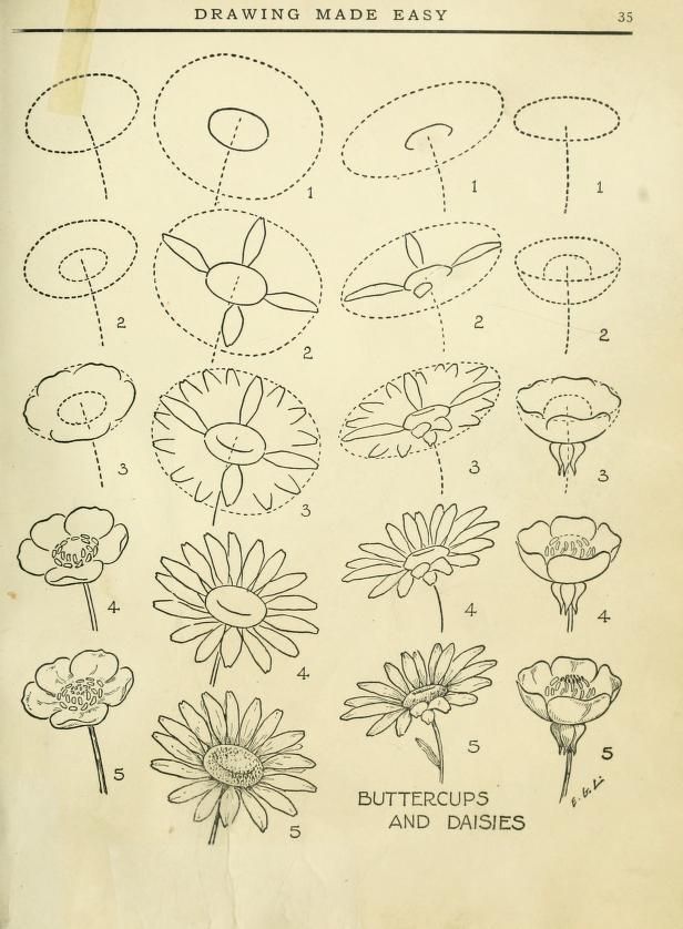 an old book with flowers drawn on the pages and numbers in each section, including one flower