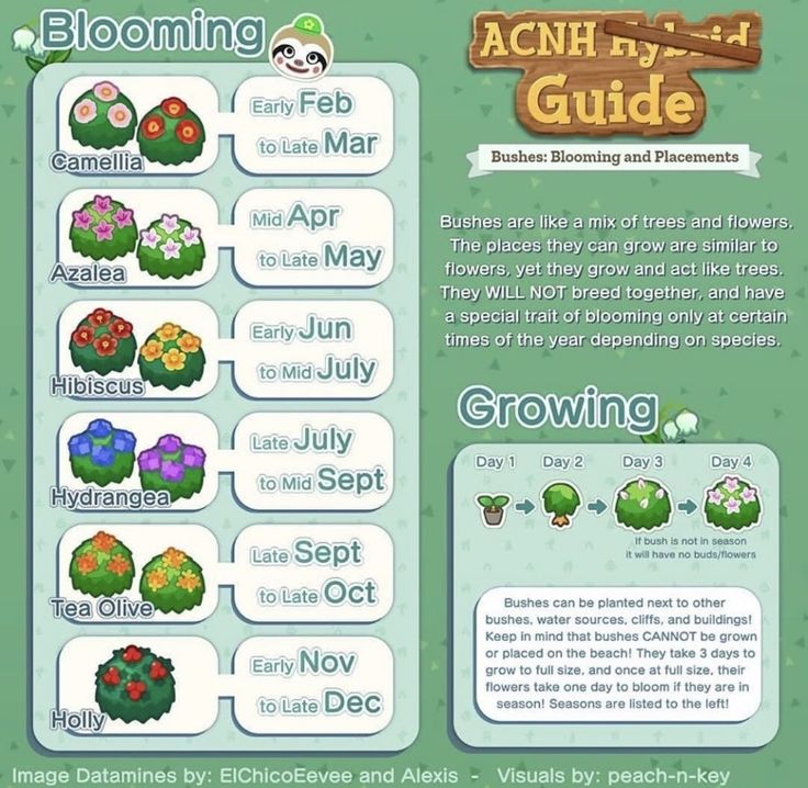 an info sheet with different types of plants