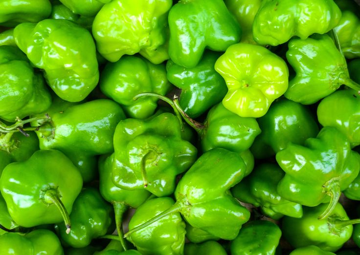 many green peppers are piled up together