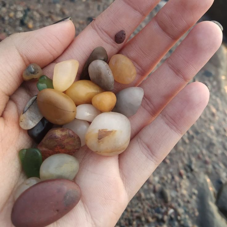 a person holding rocks in their hand on the ground and gravel behind them is dirt