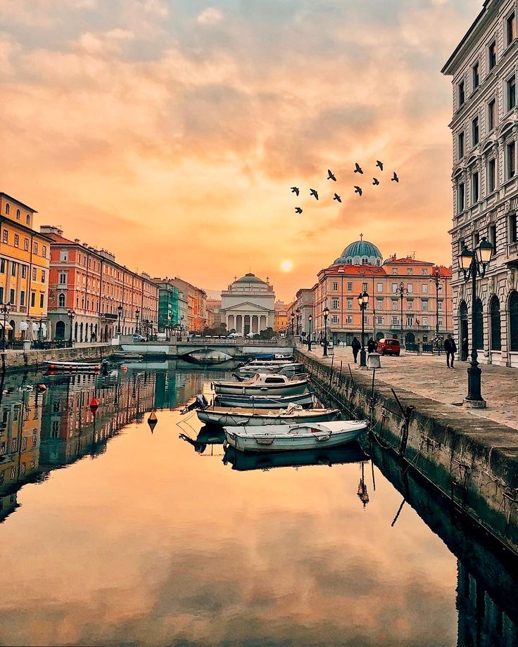 several boats are docked in the water near buildings and birds flying over them at sunset