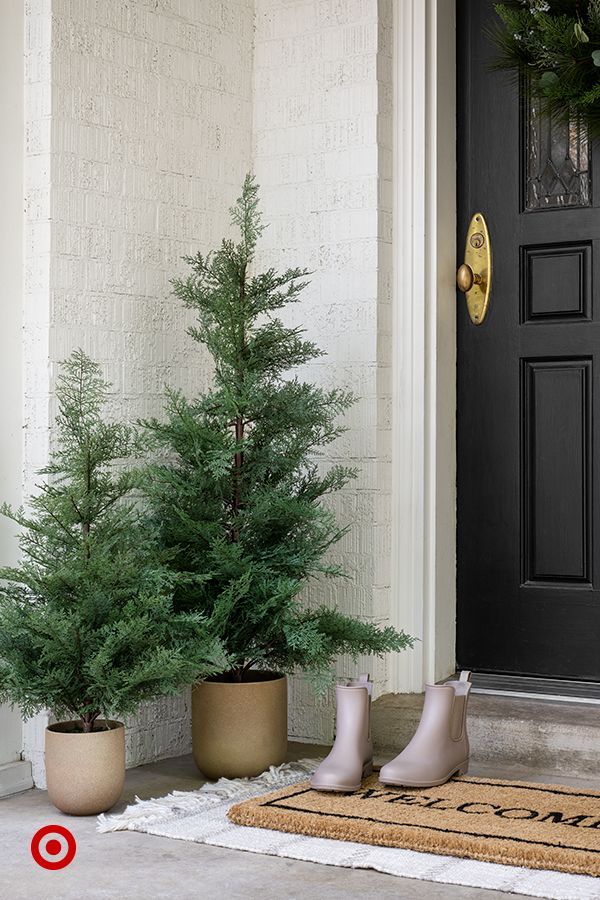 two potted trees sitting next to each other in front of a door