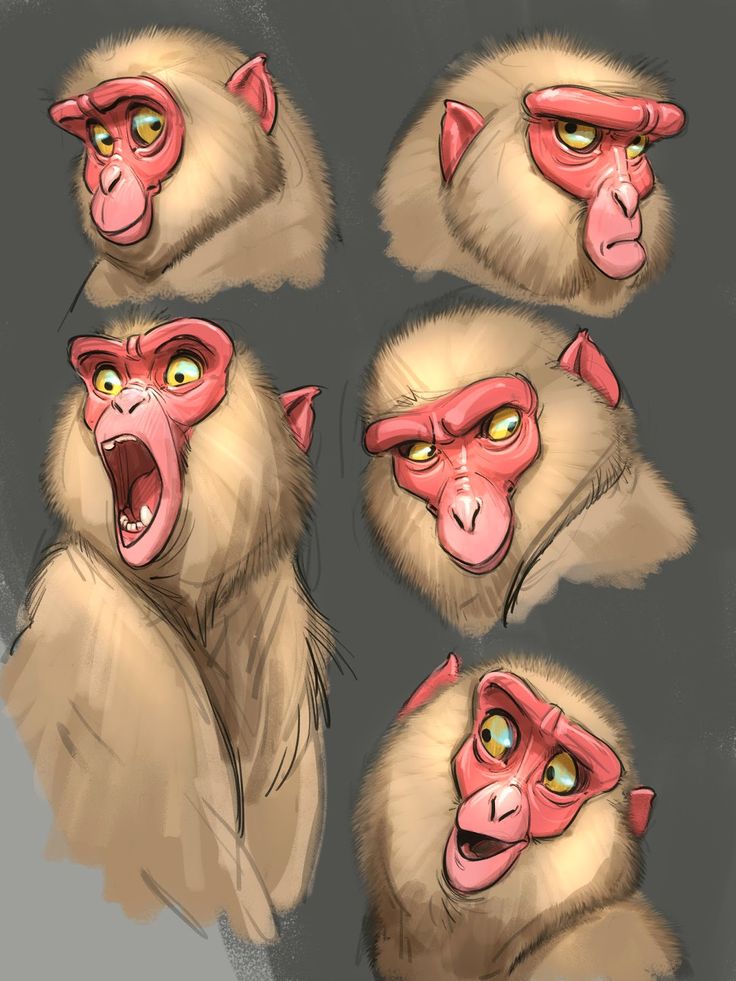 some monkeys with different facial expressions on their faces