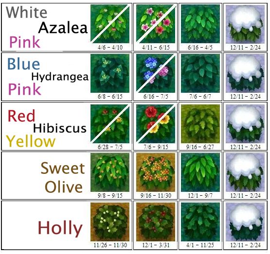 an image of different flowers and plants in the same color scheme, including white azalea blue hydrangea red hibiscus yellow sweet olive holly holly