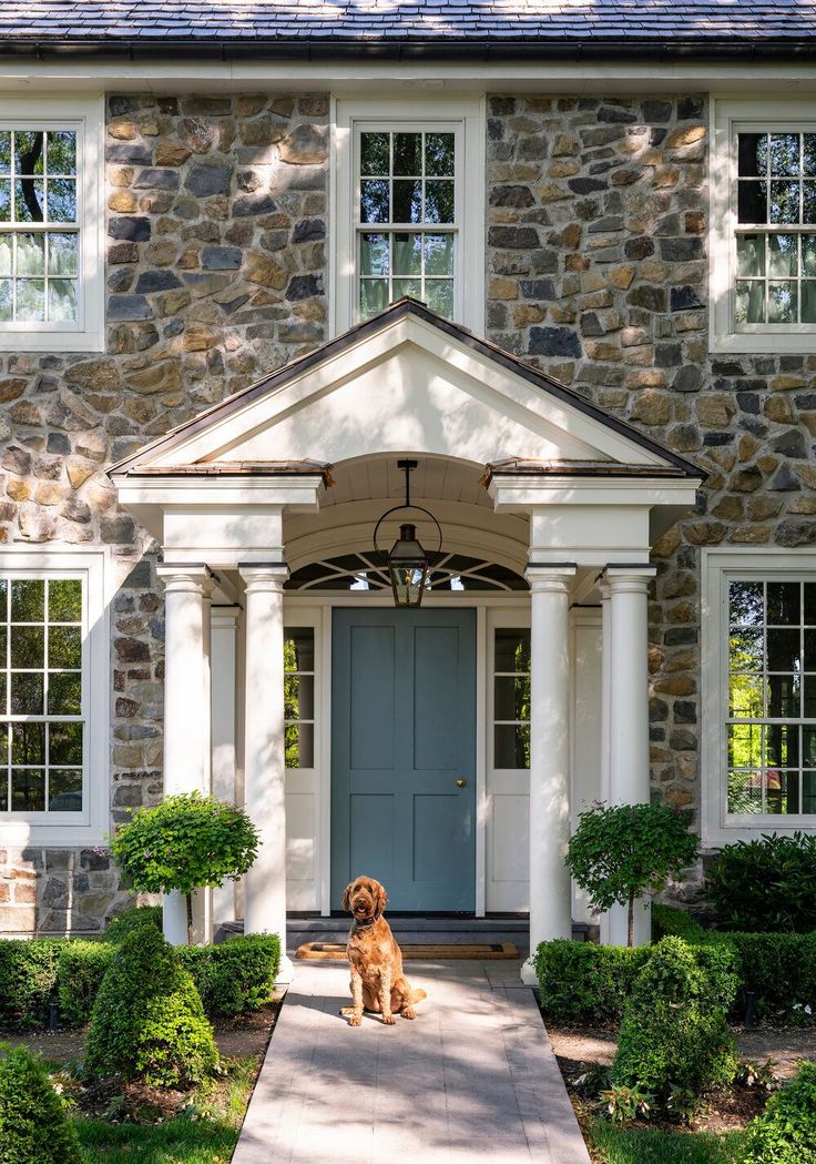 a dog sitting in front of a stone house with white pillars and columns on either side