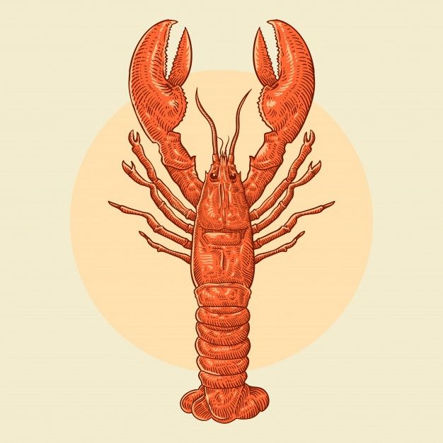 a drawing of a lobster on a beige background