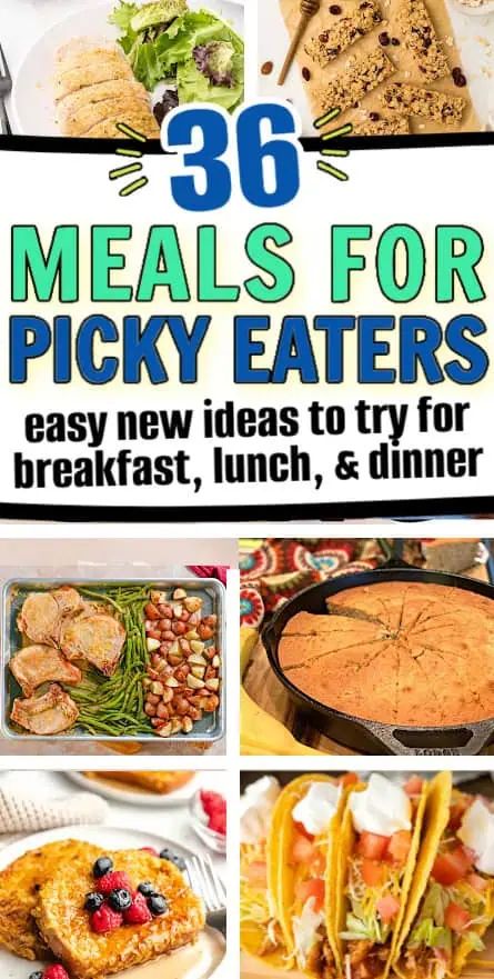 the cover of 365 meals for picky eaters easy new ideas to try for breakfast, lunch, and dinner