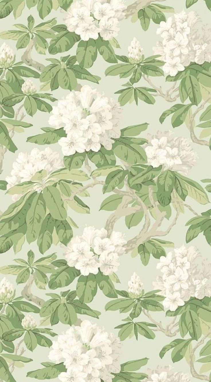 Green Floral Wallpaper Green Wallpaper Phone, Green Aesthetic Tumblr, Green Floral Wallpaper, Sage Green Flowers, App Ikon, Zestaw Ikon, Sage Green Wallpaper, Floral Wallpaper Iphone, Wallpaper Floral