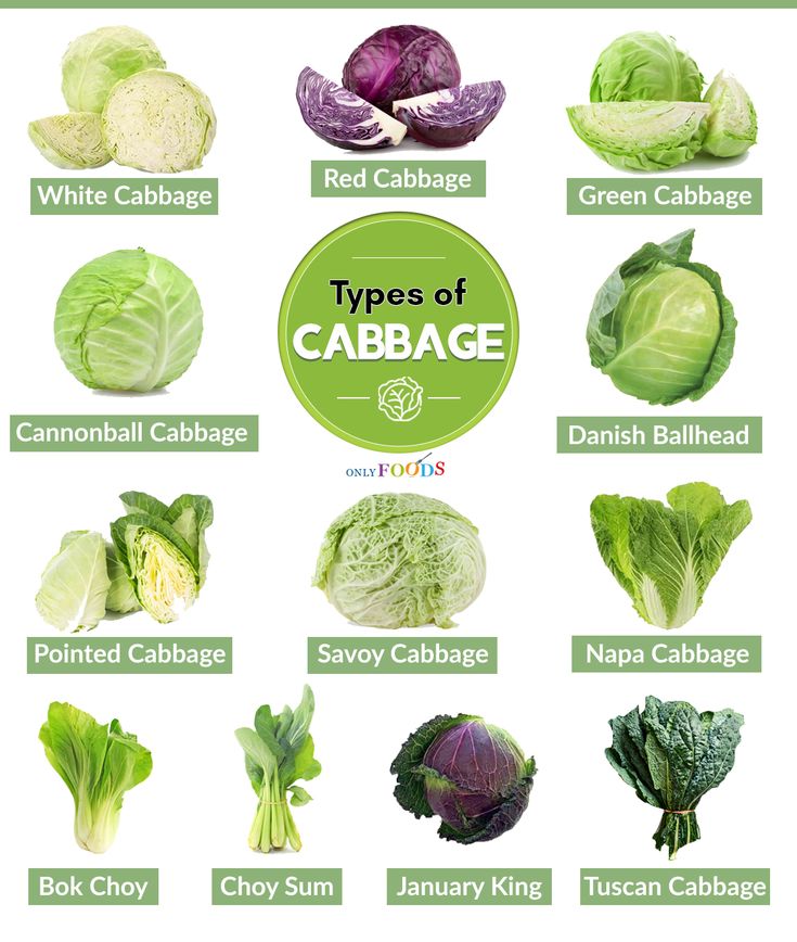 different types of cabbages are shown in this chart, with the names below them