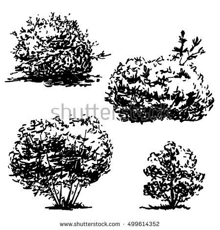 four different types of trees in black and white, each with small leaves on them