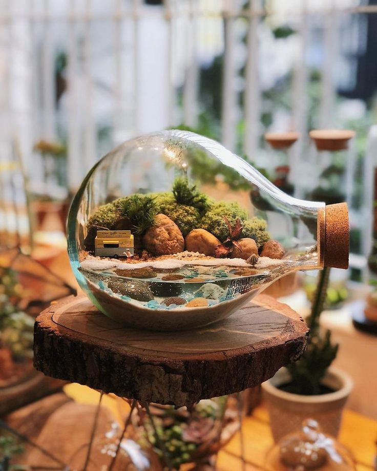 a glass bowl filled with plants and rocks on top of a tree stump in a greenhouse