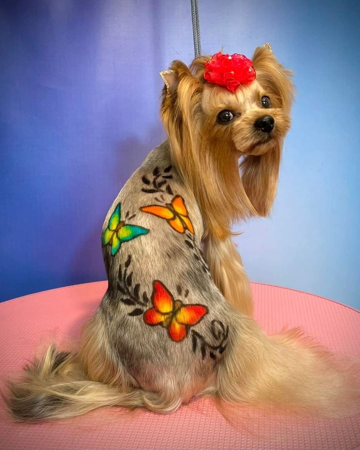 a dog sitting on top of a pink table wearing a shirt with butterflies painted on it