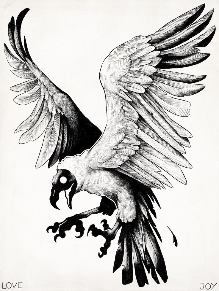 a drawing of a bird with its wings spread