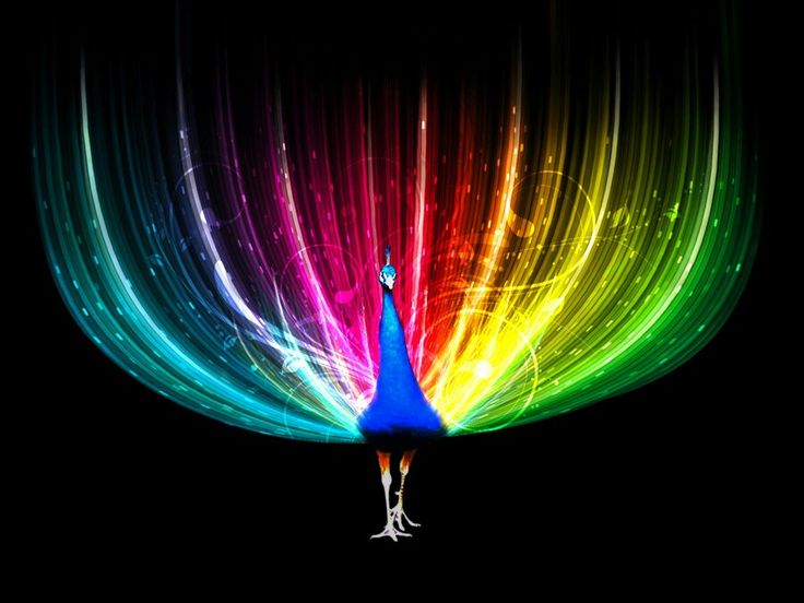 the peacock is standing in front of an abstract rainbow light streaming down it's face